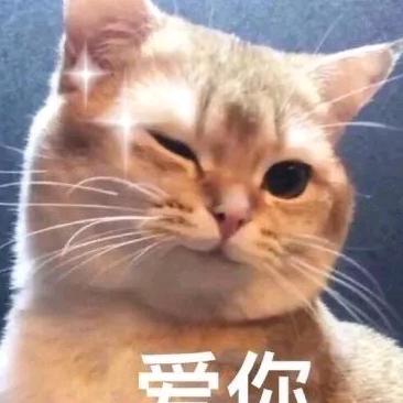 游戏