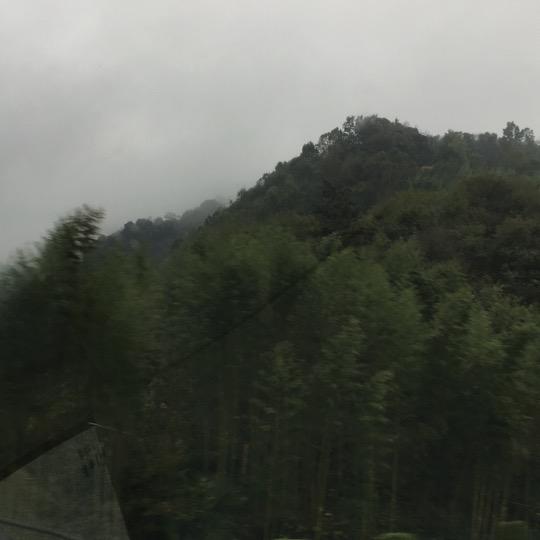 思想一路开放