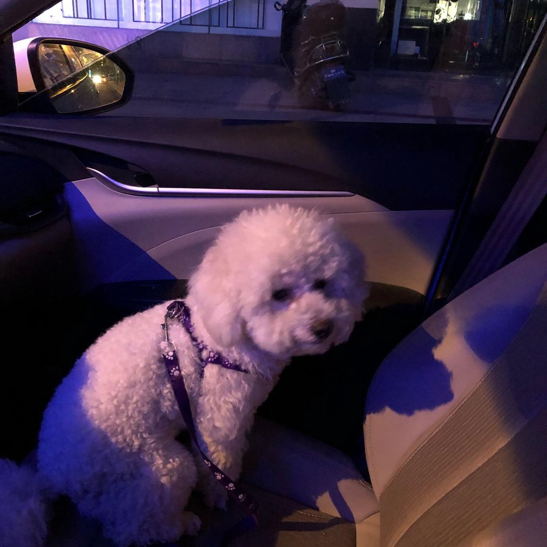 颜值三生花不完