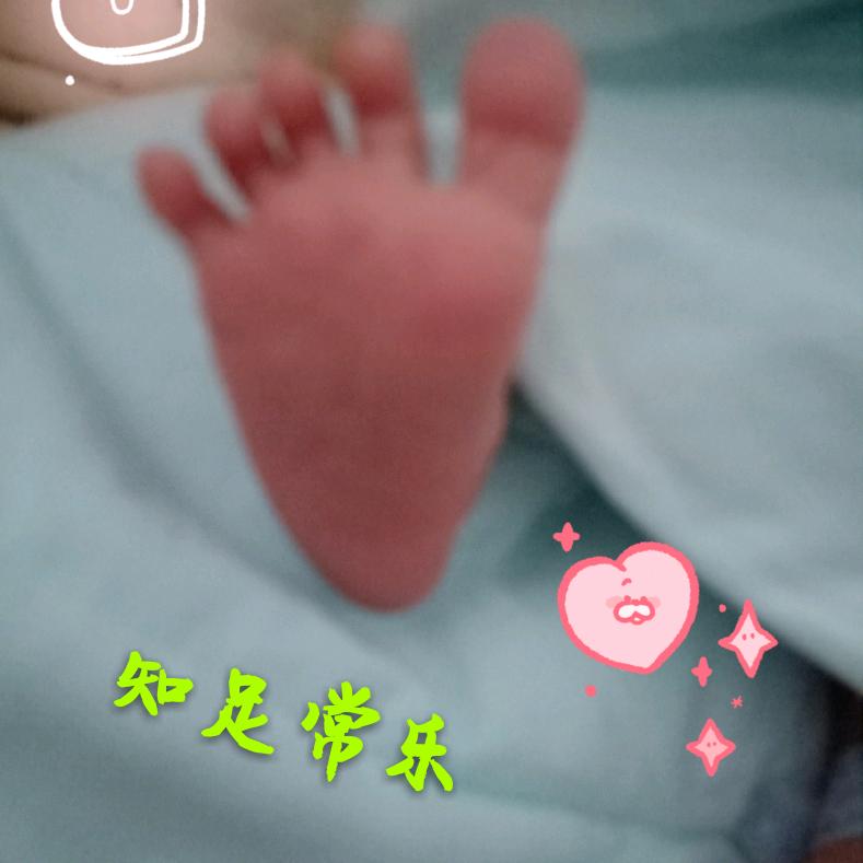 ᥫᩣ小猫Erᥫᩣ