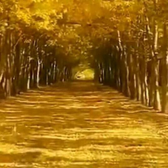 郭