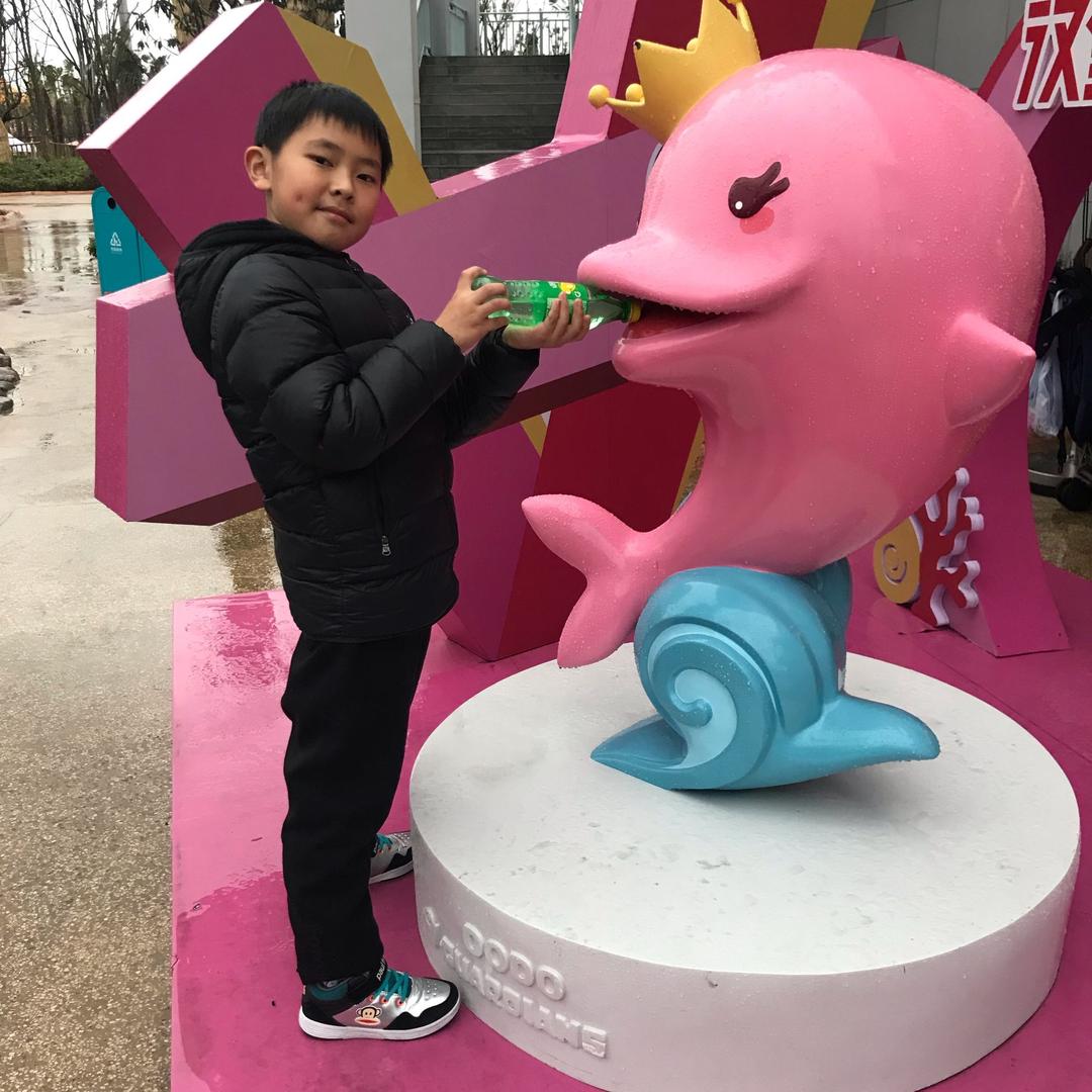 绣金乌
