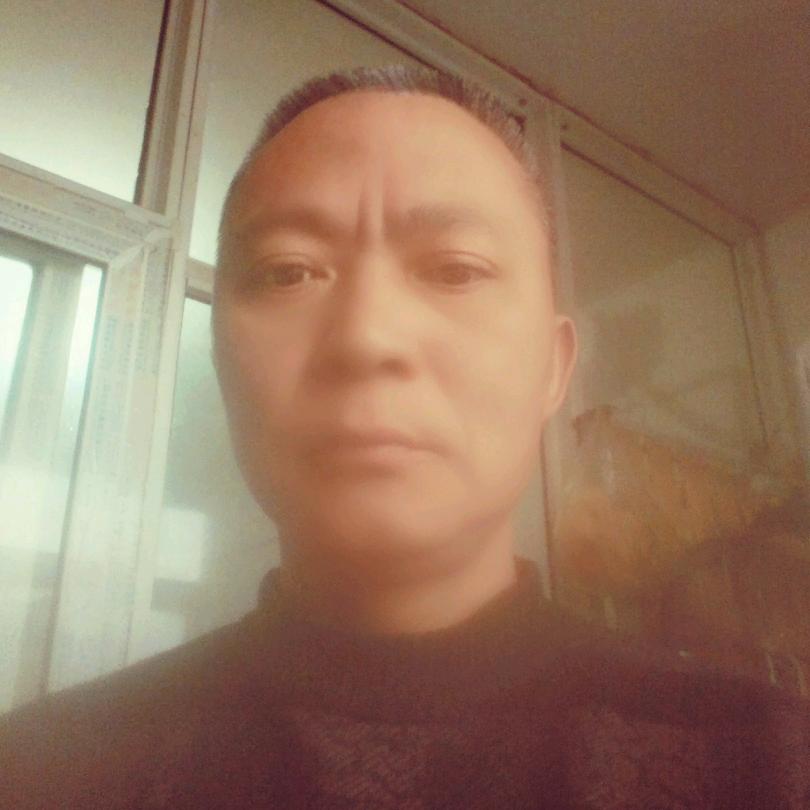 仙人掌