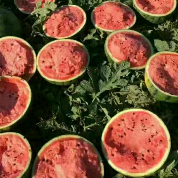 淄博小赵生鲜官方号