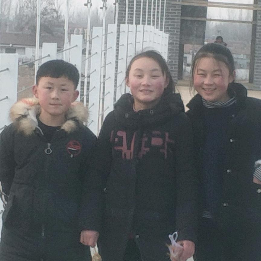 一颗真诚的心