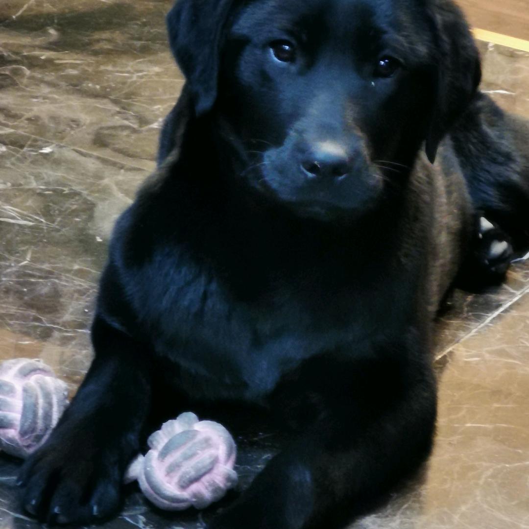 俺村最丑的小女人