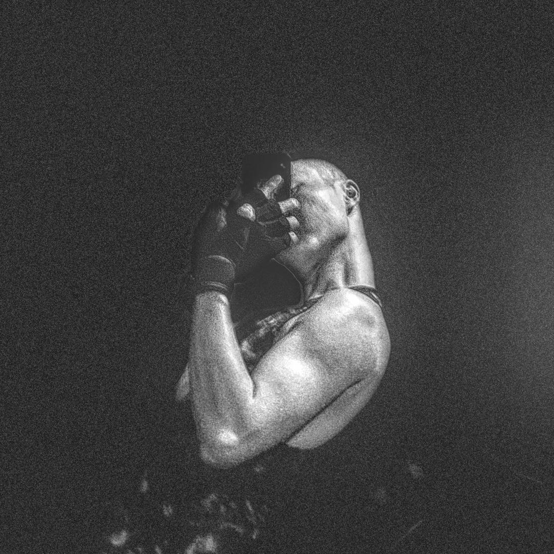 别想那只大象🐘