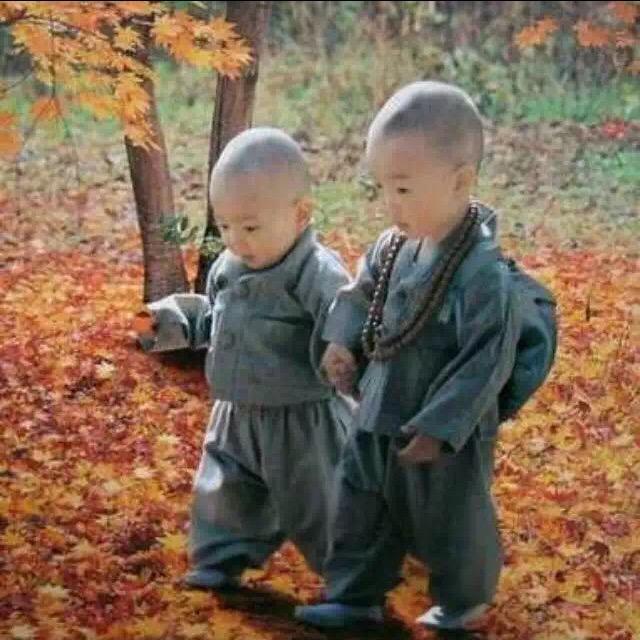 坤哥