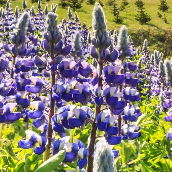 不能忘记自己，我爱我老婆，永远我爱你