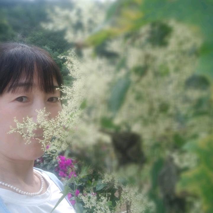 琼琼