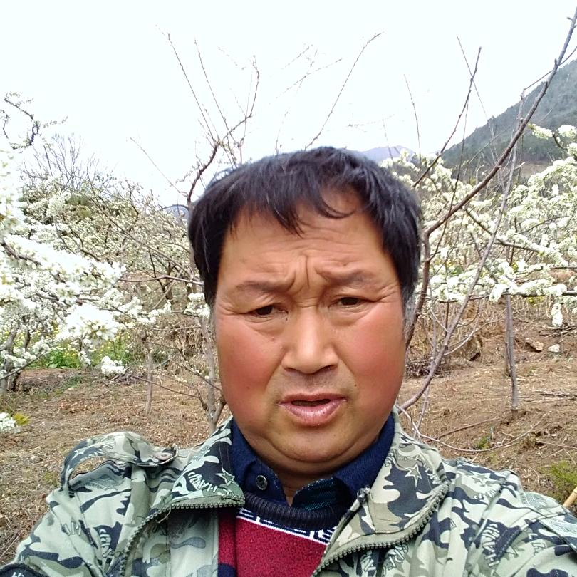 帅老爸