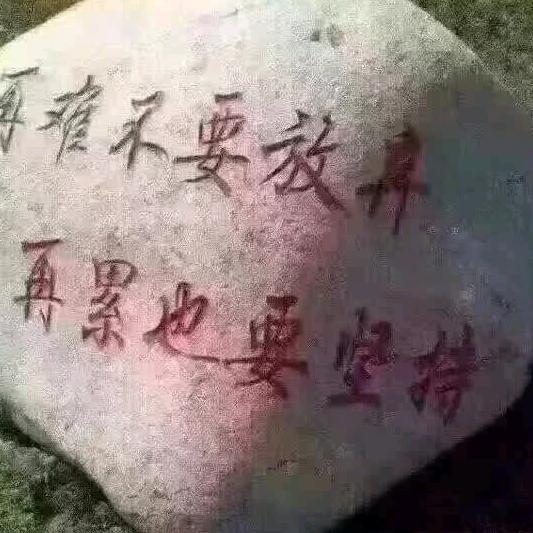 天纺陶亚军