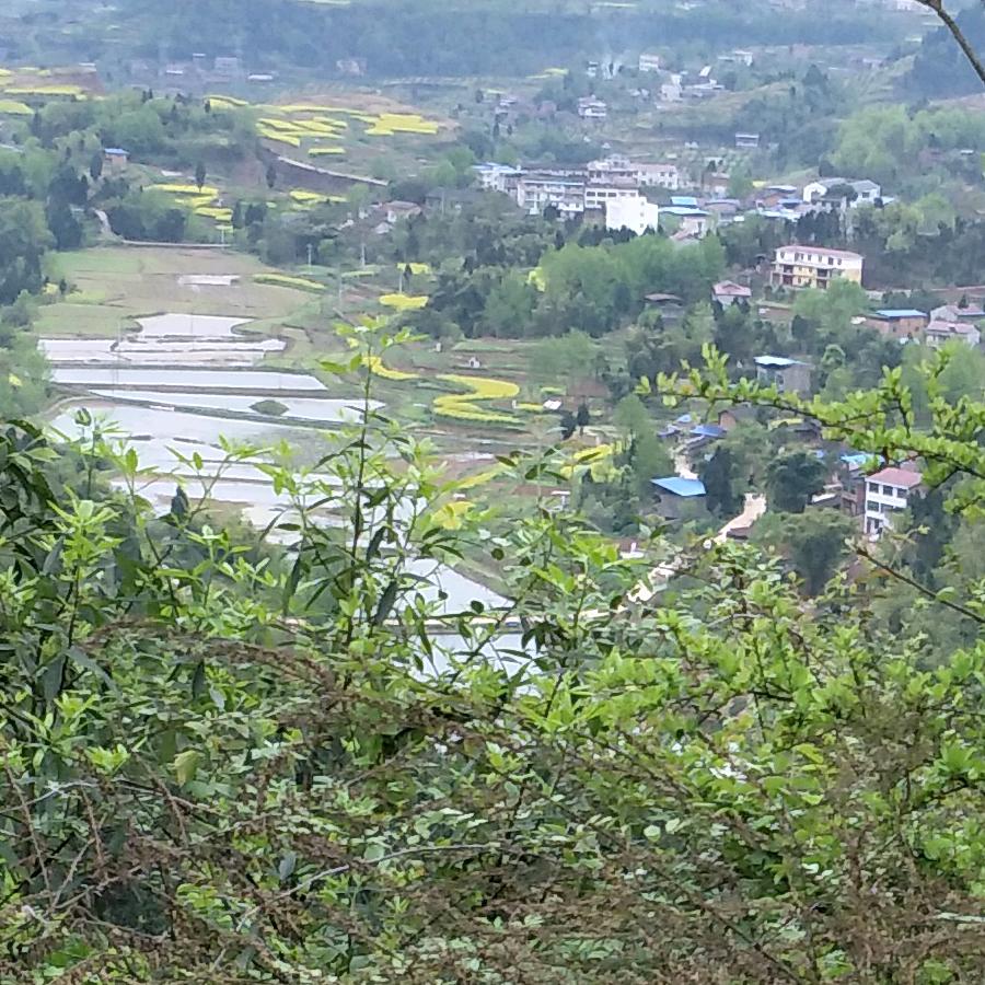 用户2251738770127一生爱你