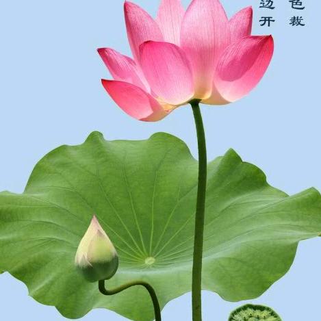 💞随缘💞李🌹