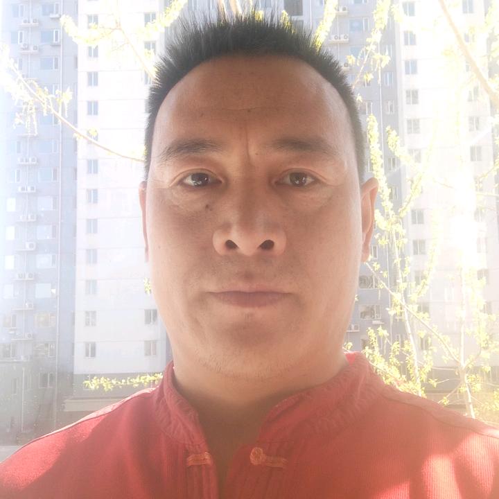 紫衫龙王