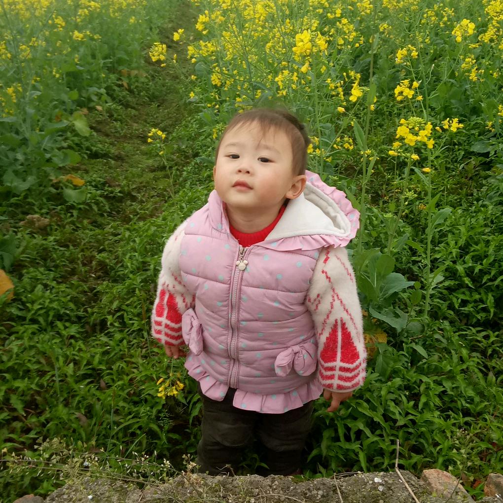 玉莲4838395606610