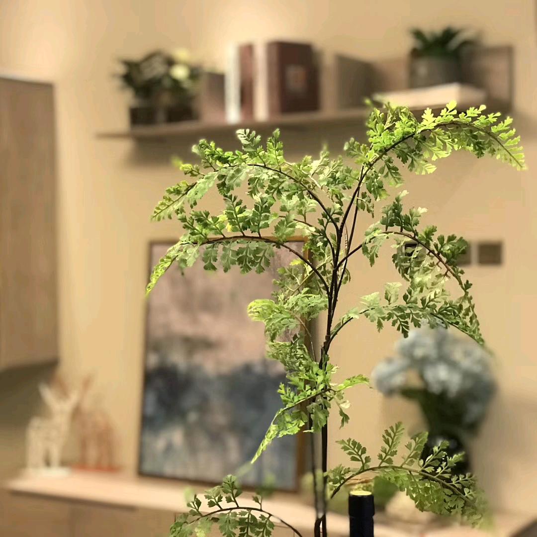张兰