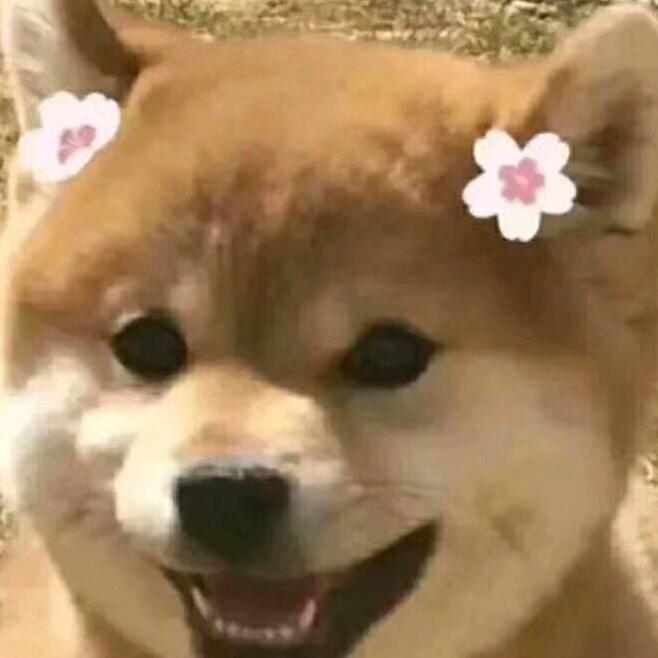 海倩
