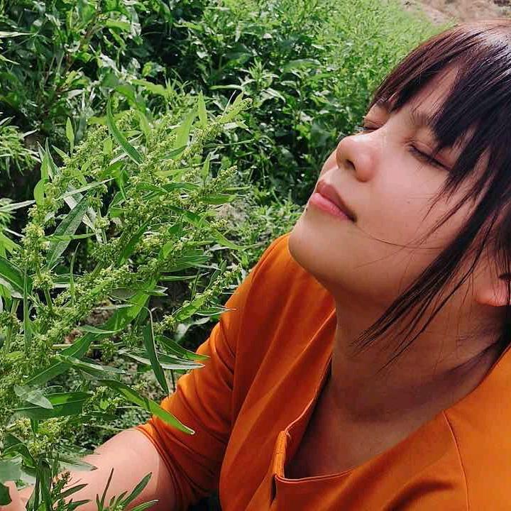 诗琳