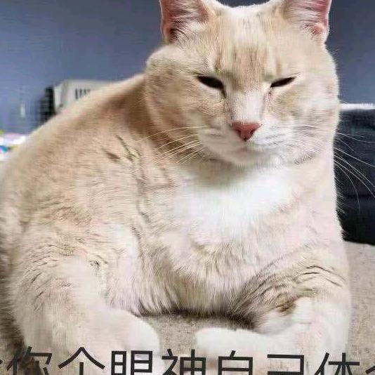 隨鈊鎍慾