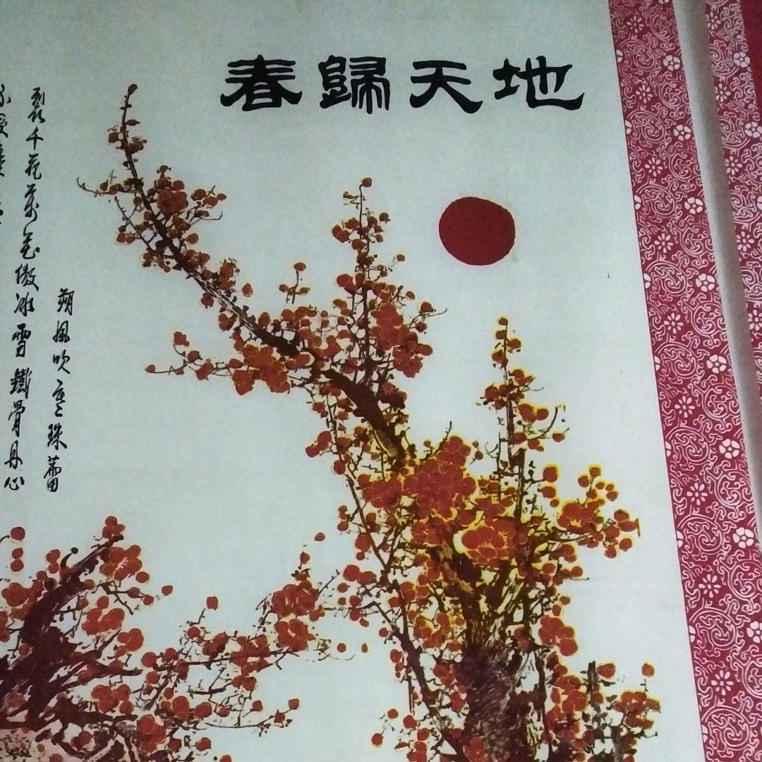 老实人