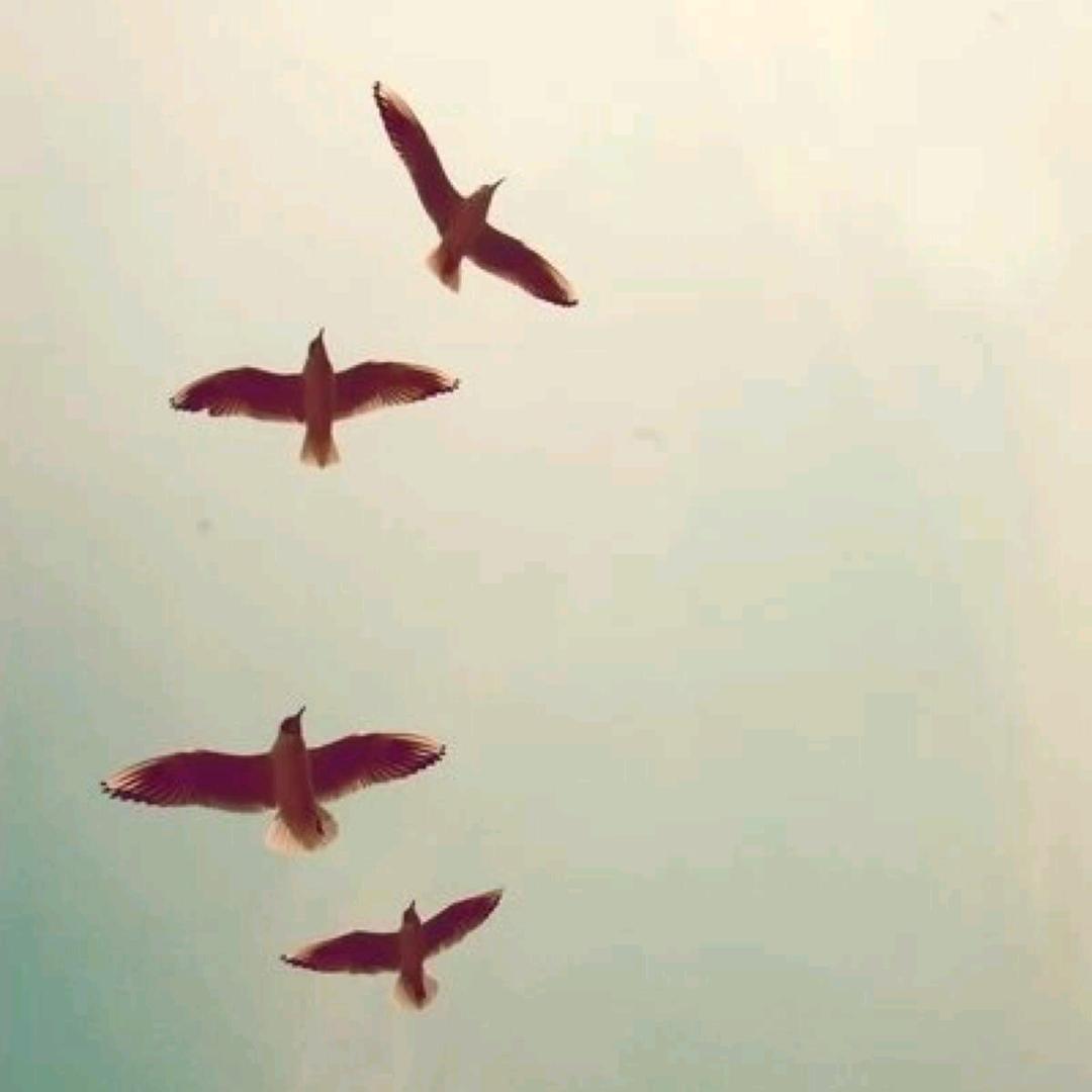 萍乡英豪武术跆拳道