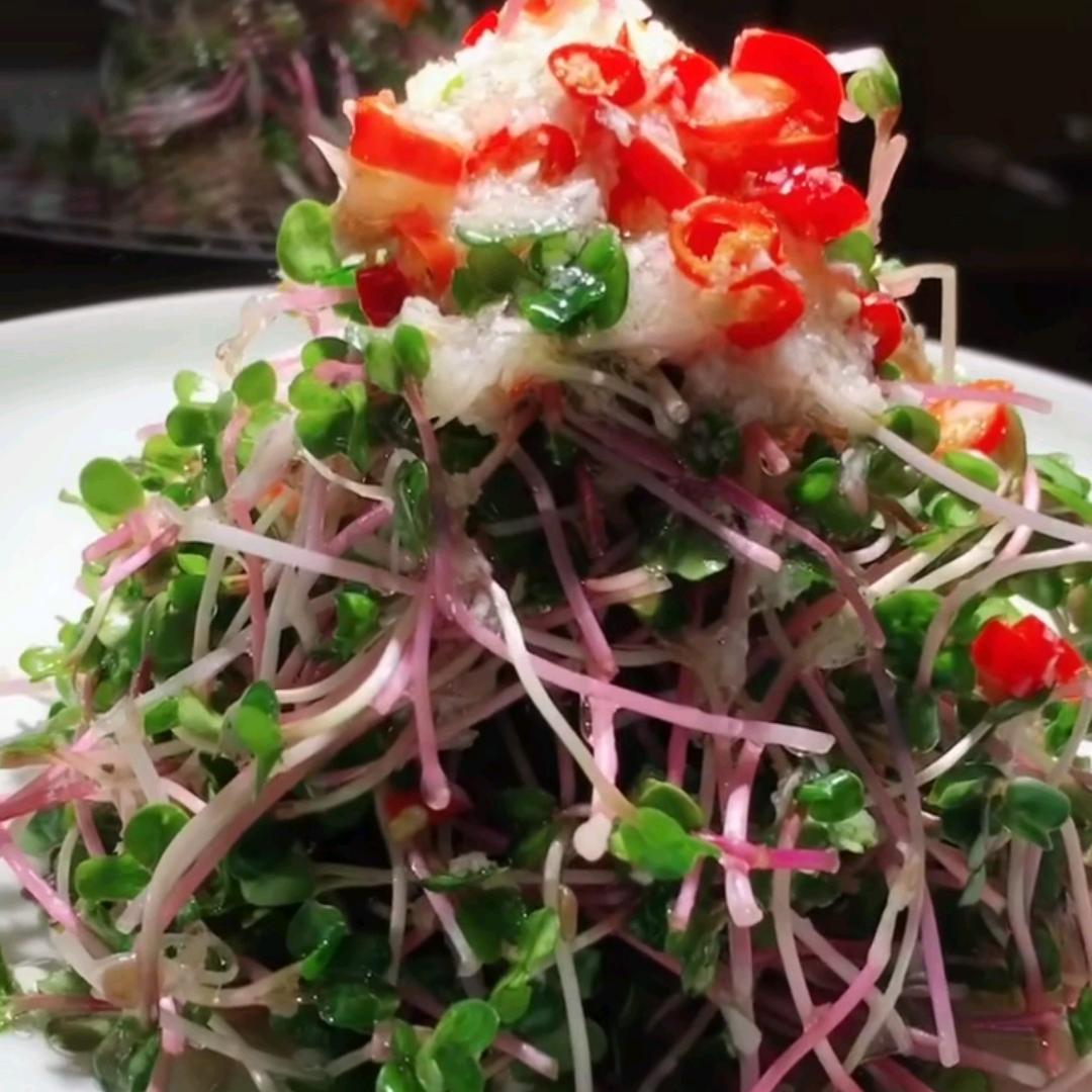 樱花落@谁懂那份伤