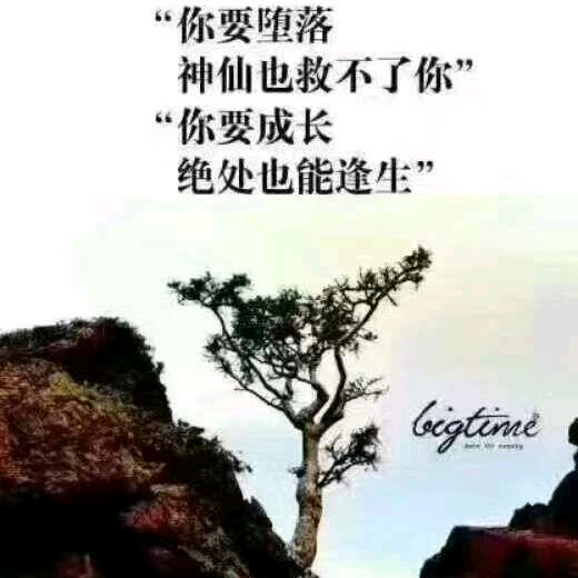 头哥