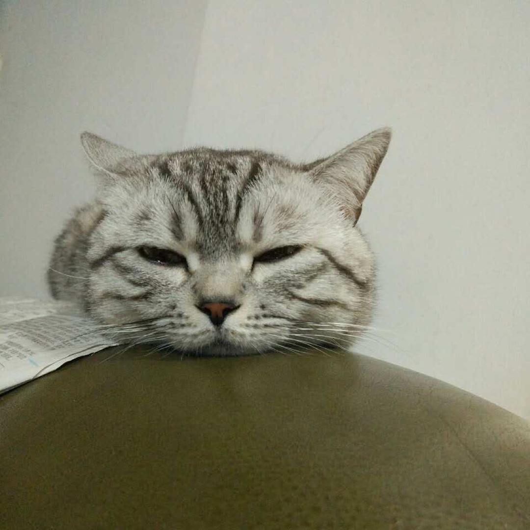 GuGu