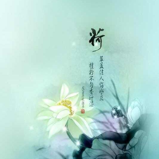 梅风荷雨