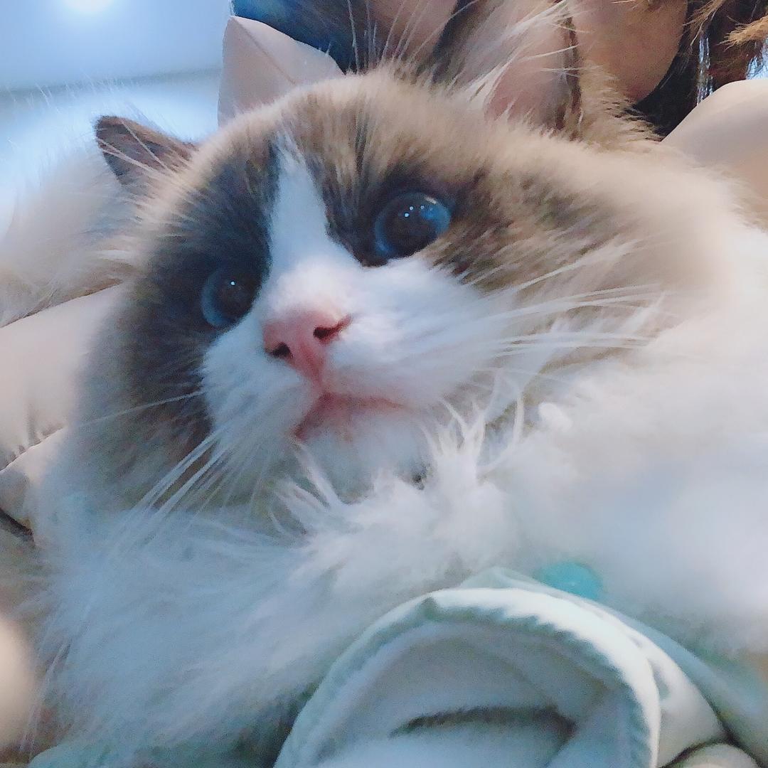 一生有李满眼星陈