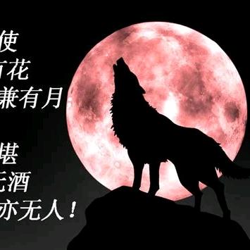 玄霄独寂寥