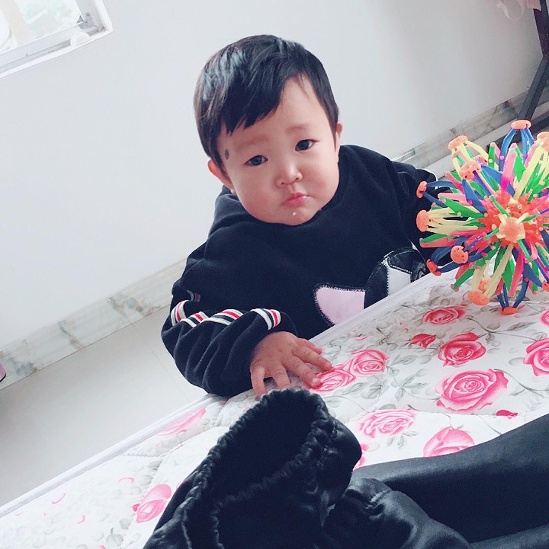 洪七公