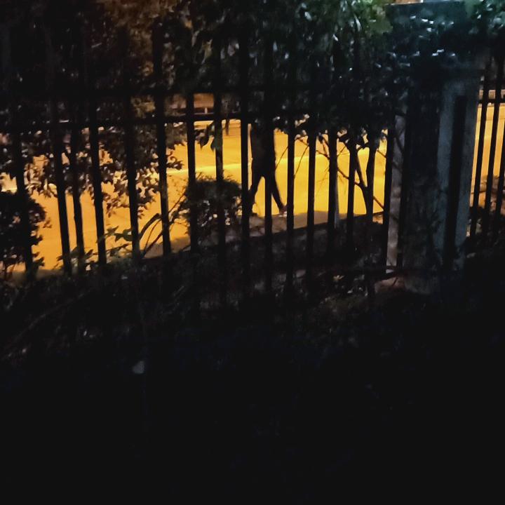 雨后的彩虹