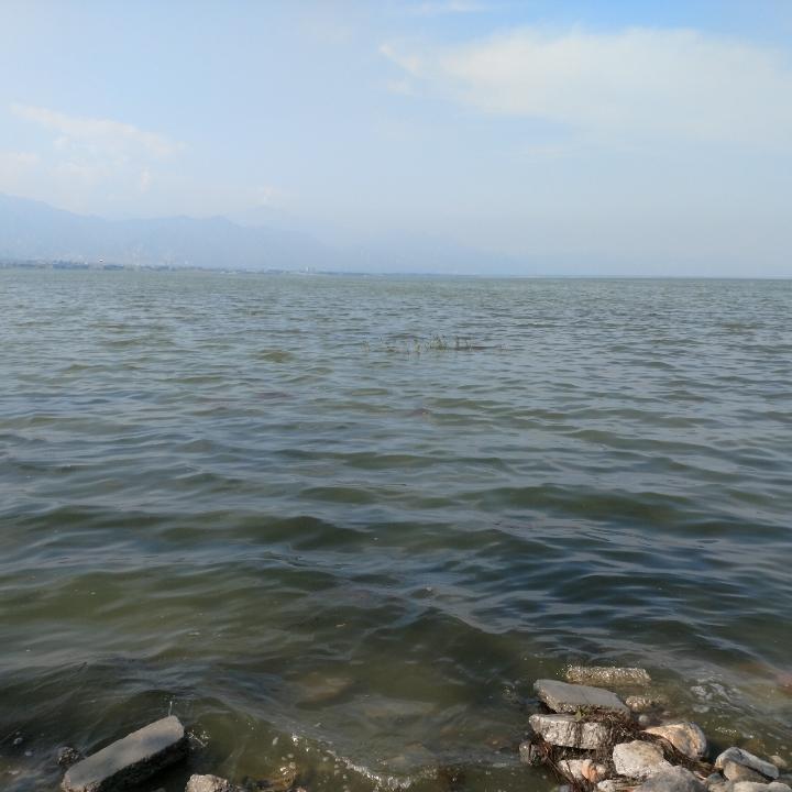会迟到但不会缺席