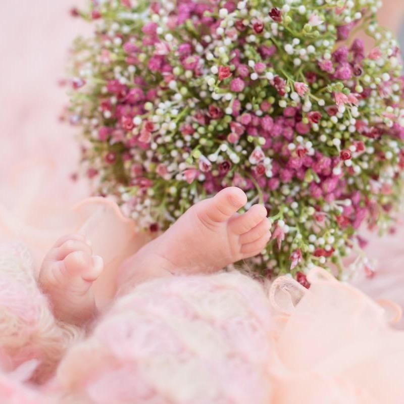 萌里萌气(づ ●─● )づ