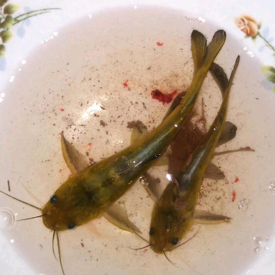 灵气