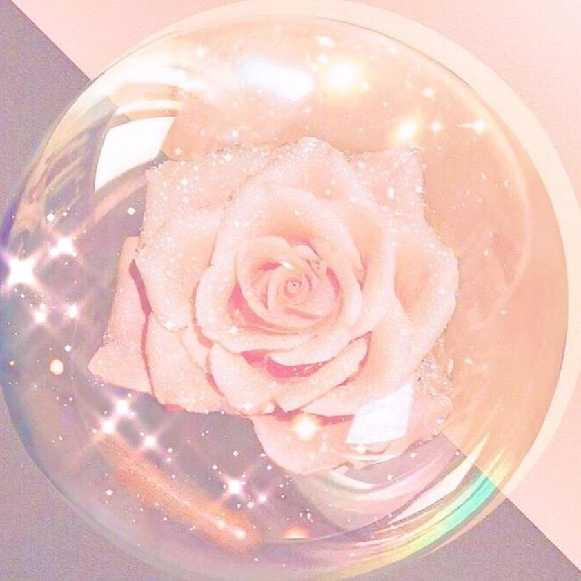 飞鸟🐦与鱼🐠