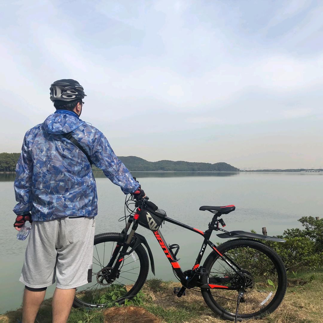 晓枫残吟乐