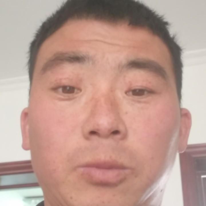 磊磊