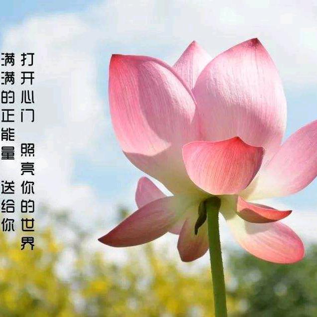 💘不想认命就要拼命❤