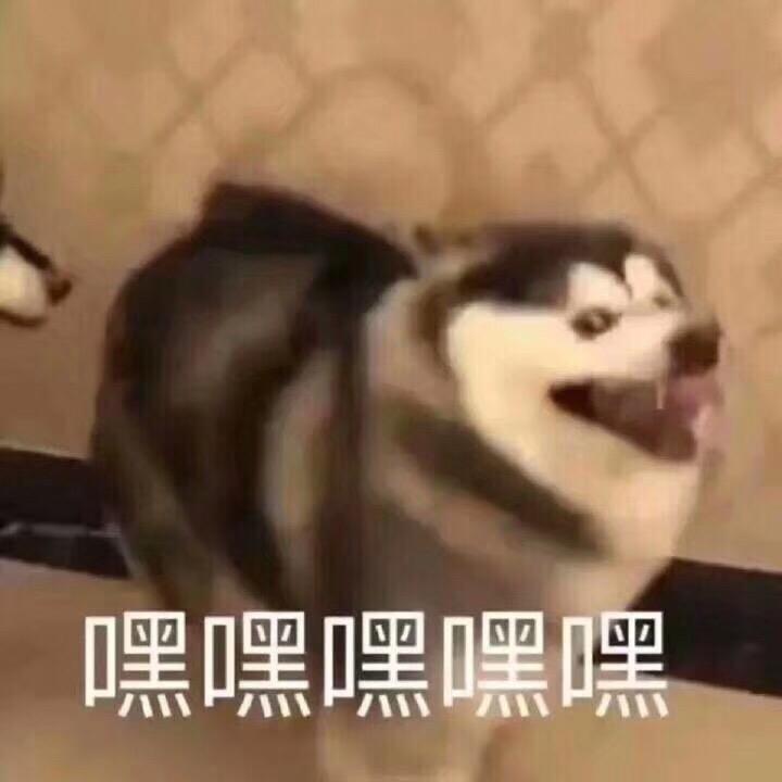 隔壁小王💥