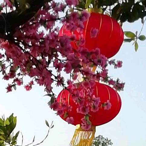 好事连连