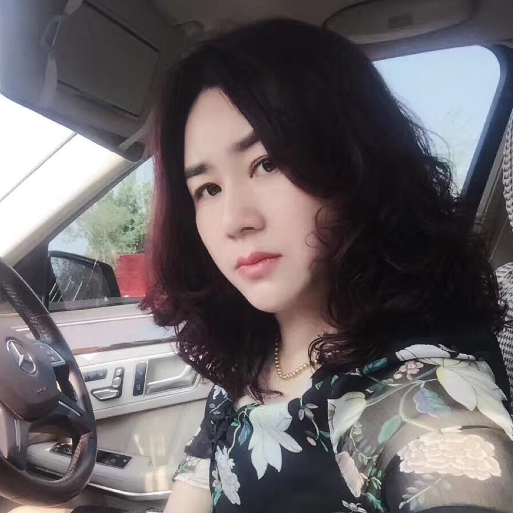 任我飞翔