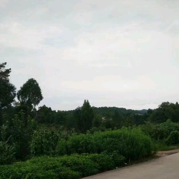 感恩的心_感谢有你