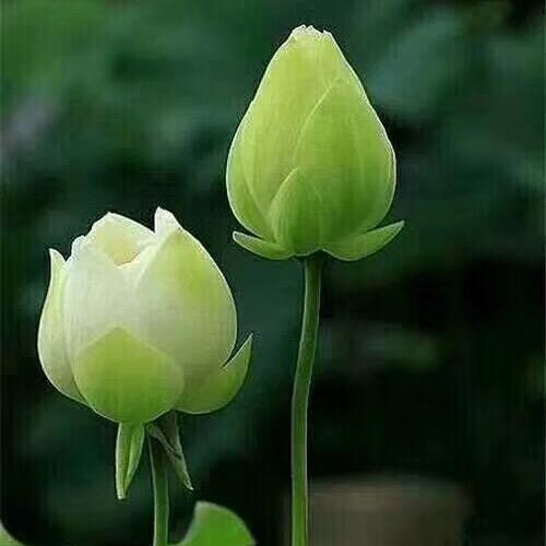 人在旅途🌹