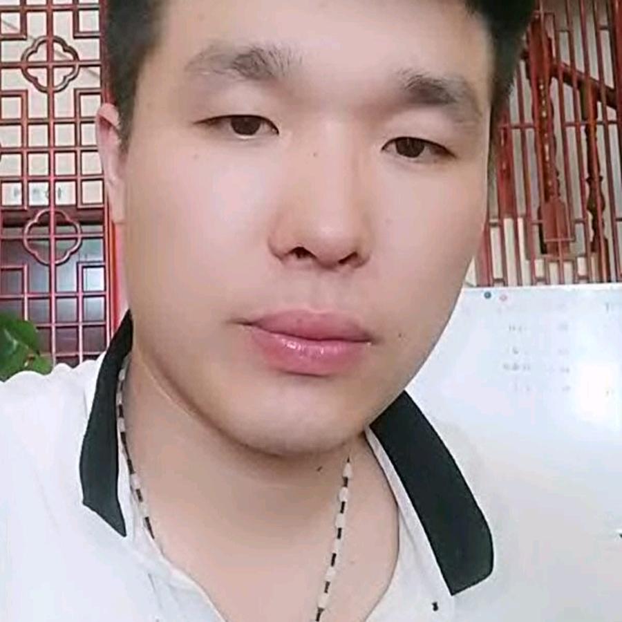 追日