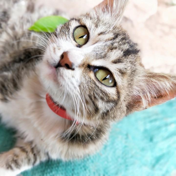 对你动心 想你笑