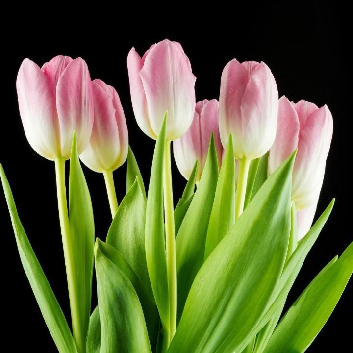 兰(*•̀ᴗ•́*)و ̑̑