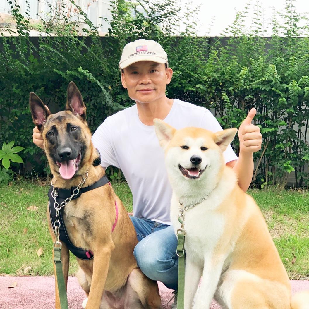 武汉新哥训犬